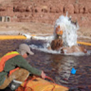 Meet your Posher, Patrick